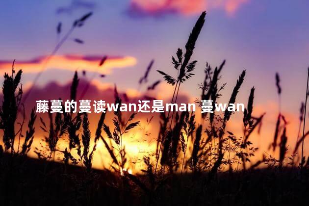 藤蔓的蔓读wan还是man 蔓wan的组词是什么